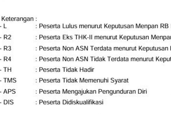 Honorer Bingung dengan Kode Kelulusan PPPK Tahap 1, Penjelasan BKN Bisa Membantu - JPNN.COM