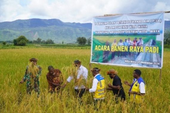 140 Kelompok Tani P3A Wita Waya Panen Perdana Padi di Papua Pegunungan - JPNN.COM