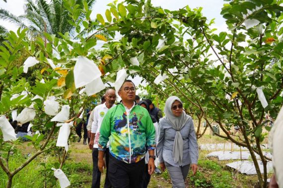 Long Kali Bakal Jadi Sentra Buah Segar di Kaltim - JPNN.COM