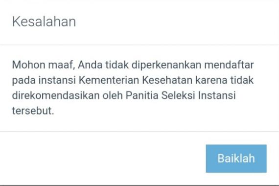 Honorer Daftar PPPK 2024 Tahap 2, Tertulis 'Tidak Direkomendasikan', BKN Kasih Solusi - JPNN.COM