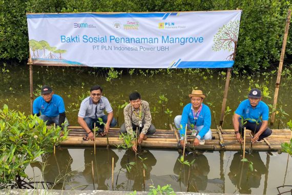 PLN Indonesia Power Dukung Taman Mangrove Festival 2024 di Ketapang Urban Aquaculture - JPNN.COM