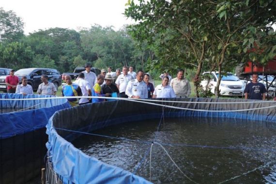 Tingkatkan Ketahanan Pangan Desa, Babel Kembangkan Budi Daya Ikan Air Tawar - JPNN.COM