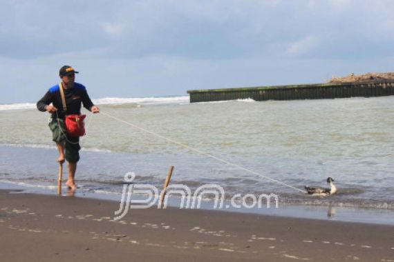 Buaya Muncul di Muara, Turis dan Nelayan Harus Waspada - JPNN.COM