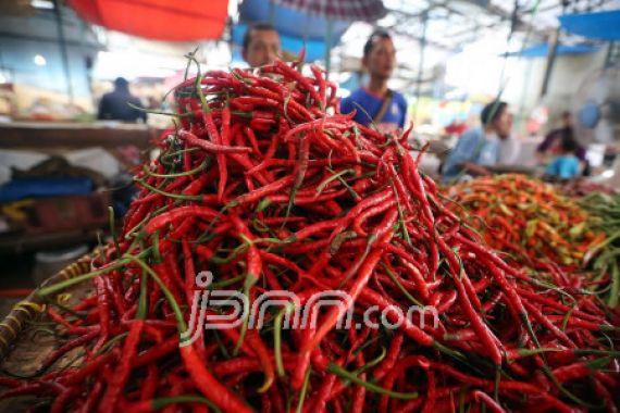 YLKI Anggap Kenaikan Harga Cabai Fenomena Tak Rasional - JPNN.COM