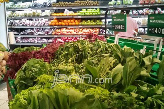 Kementan Bocorkan Kunci Pacu Produktivitas Sayuran Daun, Petani Wajib Tahu - JPNN.COM