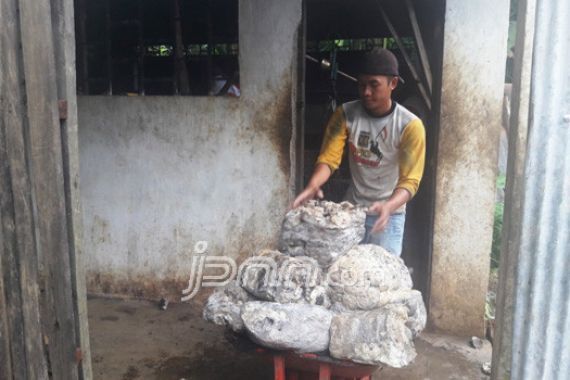 Harga Karet Terancam Anjlok ke Titik Terendah - JPNN.COM