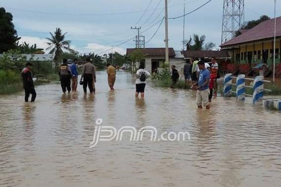 Tak Hanya Diterjang Banjir, Warga Juga Diteror Buaya - JPNN.COM