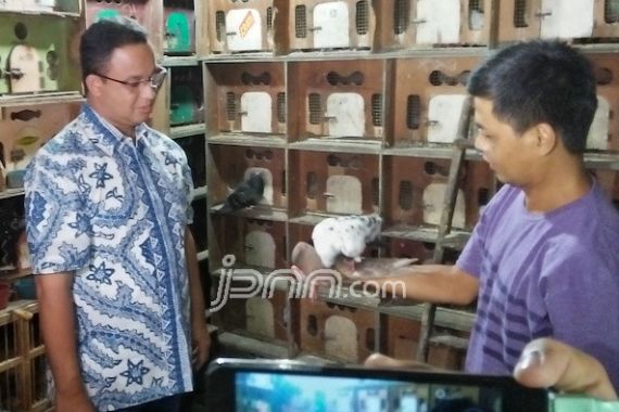 Sambangi Pasar Burung, Anies Terpikat Messi dan Munaroh - JPNN.COM