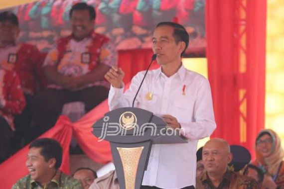 Pak Jokowi Dimarahi Petani, Indonesia Tak Mengimpor Jagung Lagi - JPNN.COM