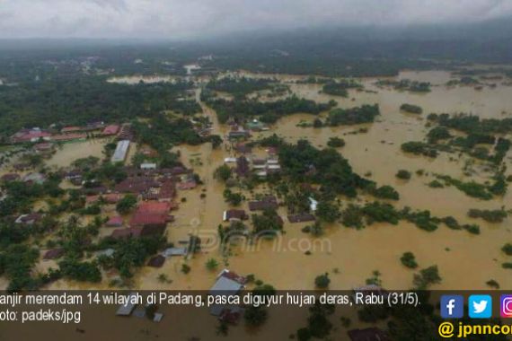 BPBD Padang: Selain Banjir dan Longsor, Pohon Juga Banyak Tumbang - JPNN.COM