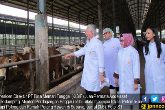 KIBIF Jamin Penuhi Kebutuhan Daging Sapi Hingga Idul Fitri - JPNN.COM
