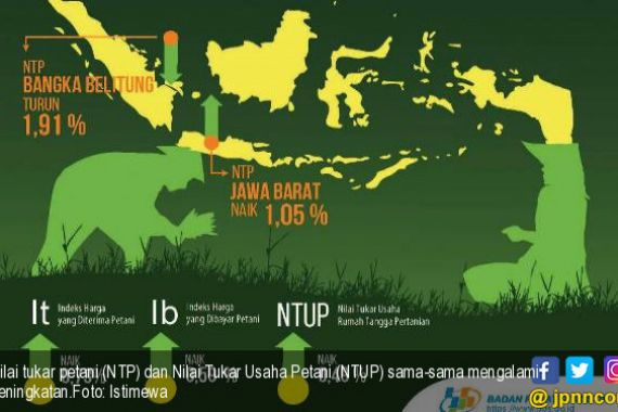 NTP dan NTUP Naik, Bukti Meningkatnya Kesejahteraan Petani - JPNN.COM