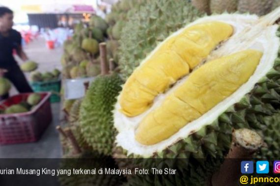Terungkap Sudah Rahasia Bau Menyengat Buah Durian - JPNN.COM
