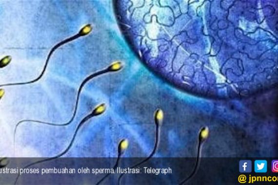 Riset Terbaru Ungkap Covid-19 Bikin Sperma Stres, Kesuburan Pria Menurun - JPNN.COM
