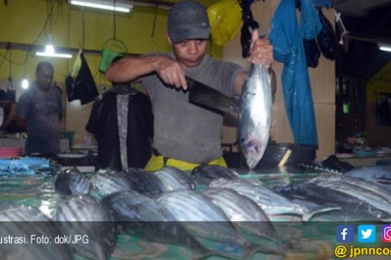 Pabrik Pengelolaan Ikan di Pulau Kecil Minta Perhatian Pemerintah - JPNN.COM