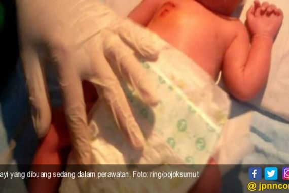 Astaga, Bayi Baru Lahir Dibuang di Depan Rumah Kontrakan - JPNN.COM