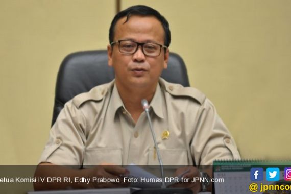 Edhy Prabowo Penggemar Berat Nangka - JPNN.COM