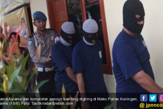 Rama Aipama Cs Ditangkap Polisi Gara-Gara Mencuri Kambing - JPNN.COM