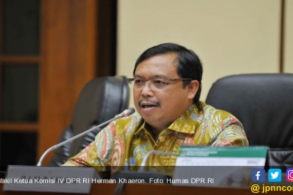 Pembangunan Smelter Molor, DPR Sidak ke Perusahaan Tambang - JPNN.COM