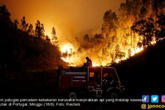 Kebakaran Hutan Landa Portugal, 62 Tewas, 50 Terluka - JPNN.COM