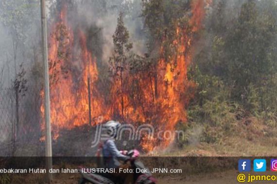 Hutan Slahung Terbakar, Petugas Kewalahan - JPNN.COM