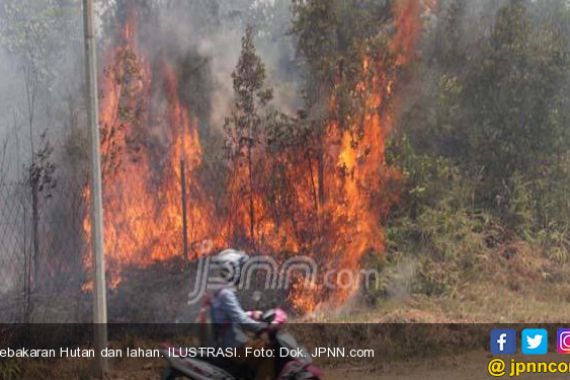 Gawat! Empat Hektare Hutan Jati Hangus - JPNN.COM