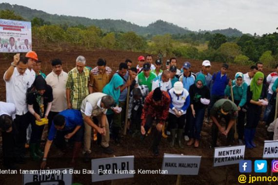 Menteri Pertanian Bangkitkan Lahan Tidur di Bau Bau - JPNN.COM