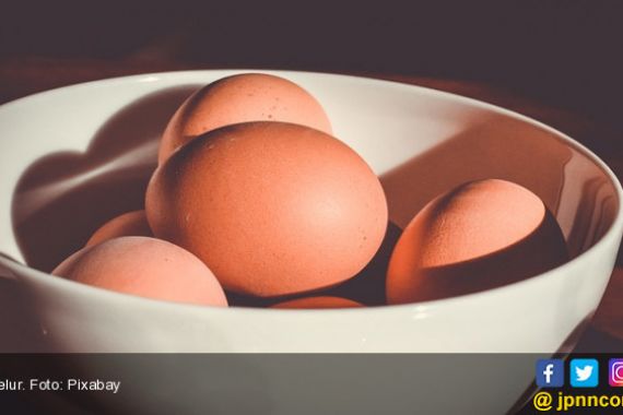 Makan Dua Telur Ayam Setiap Hari, Rasakan Manfaatnya - JPNN.COM