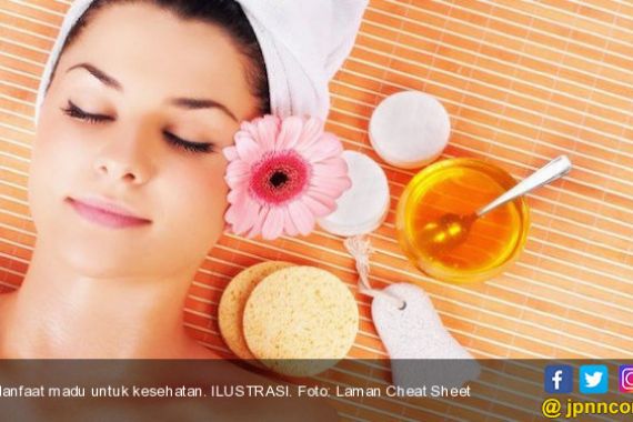 Inilah 7 Manfaat Madu Manuka untuk Kesehatan - JPNN.COM