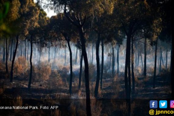 Hutan Kota Terbakar, 1.800 Warga Dievakuasi - JPNN.COM