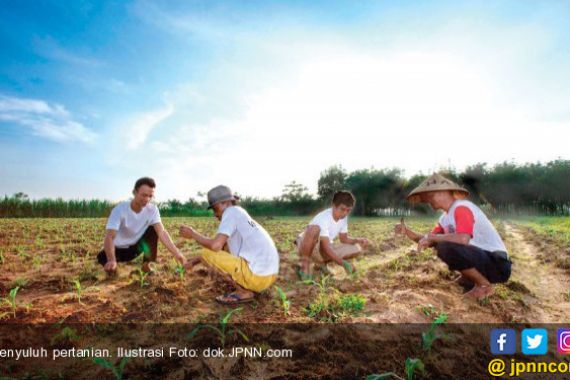 Seperti ini Pencapaian 3 Tahun Sektor Pertanian Era Jokowi JK - JPNN.COM