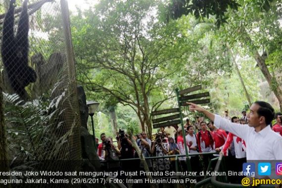 Warga Berteriak-teriak Memanggil Namanya, Reaksi Presiden Jokowi... - JPNN.COM