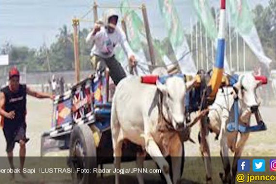 Main Lumpur, Gerobak Sapi dan Sayur Lompong, Andalan Omah Kecebong - JPNN.COM