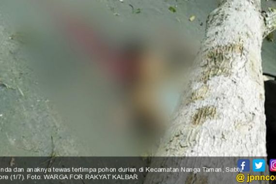 Berita Duka: Linda dan Anak Balitanya Tertimpa Pohon Durian - JPNN.COM
