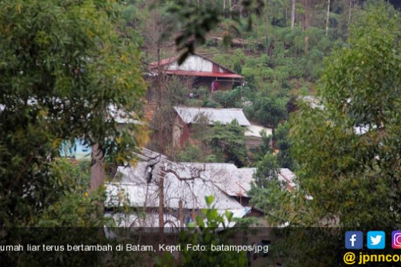 Duh, Hutan Dibabat Habis, Rumah Liar Terus Bertambah - JPNN.COM