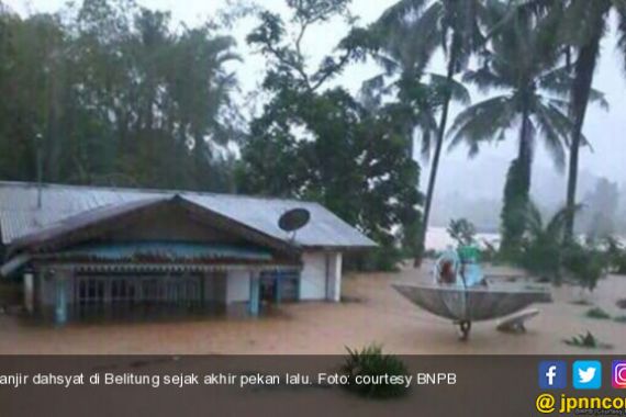 Banjir Dahsyat Melanda Belitung, Buaya Ganas Mulai Masuk Perkampungan - JPNN.COM