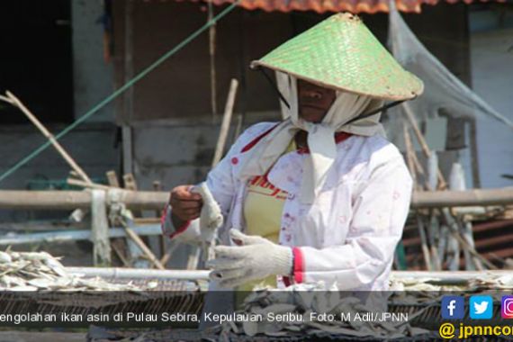 Harga Garam Melambung, 50 Pengolahan Ikan Asin Gulung Tikar - JPNN.COM