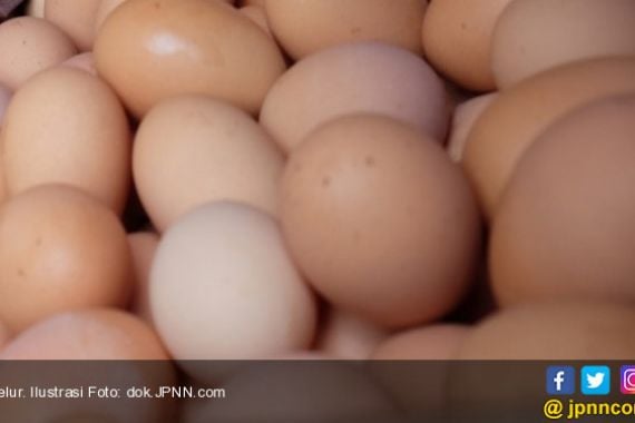 Harga Telur Meroket setelah Lebaran - JPNN.COM