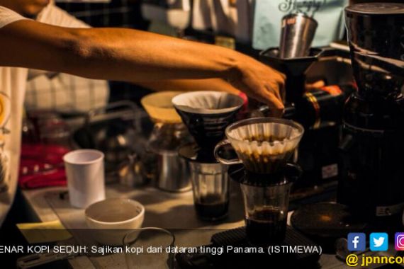 Mencicipi Kopi Geisha, Spesial dari Panama, Harganya Wow! - JPNN.COM