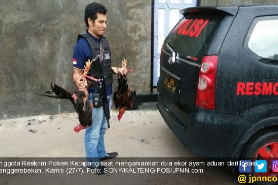 Lihat tuh, Polisi Bersenjata Laras Panjang Tenteng Dua Ayam - JPNN.COM