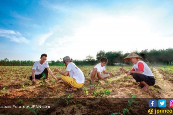 Puluhan Penyuluh Pertanian Terancam Batal jadi CPNS - JPNN.COM