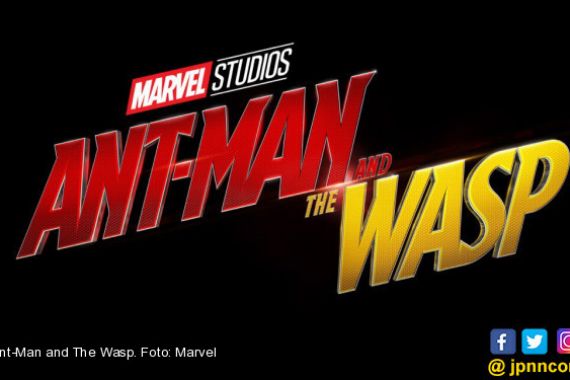 Ant-Man dan The Wasp, Duet Superhero Serasi - JPNN.COM