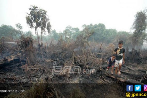 Waspada, Hutan Jati di Sini Mulai Rawan Terbakar - JPNN.COM