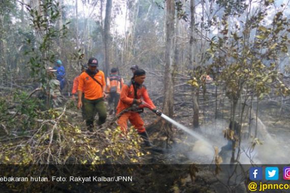 Kebakaran Hutan Meluas, Helikopter Pembom Air Dikerahkan - JPNN.COM