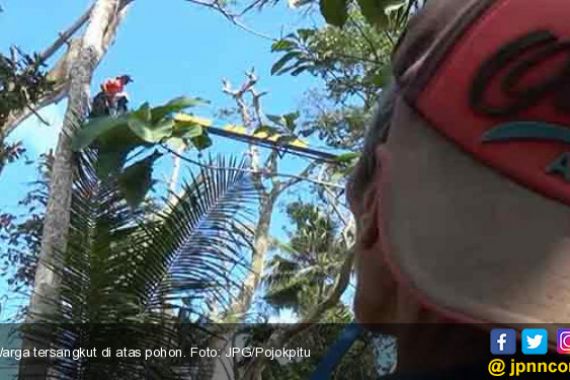 Potong Dahan, Mistar Malah Tersangkut di Pohon Tinggi 25 Meter - JPNN.COM