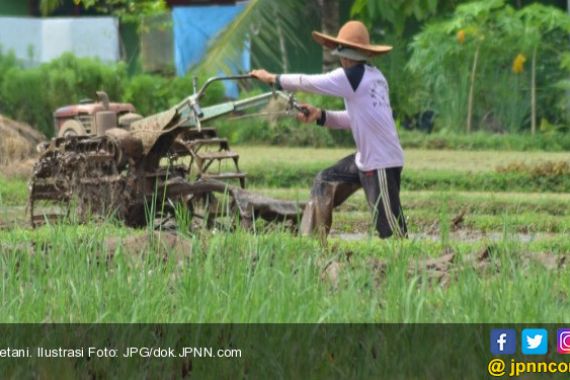 Kementan: Petani adalah Pelaku Utama Pembangunan Pertanian - JPNN.COM