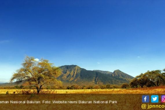 Tujuh Satwa Dilindungi Dilepas di Taman Nasional Baluran - JPNN.COM