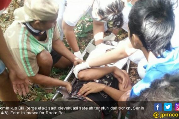 Berniat Gantung Diri, Bili Sekarat Akibat Terjatuh dari Pohon - JPNN.COM