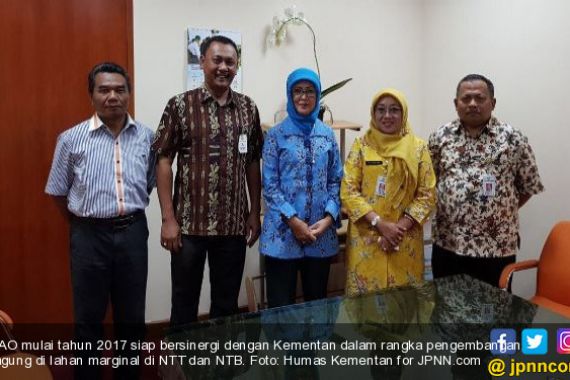 Kembangkan Jagung di Lahan Marginal, FAO Siap Bersinergi Dengan Kementan - JPNN.COM