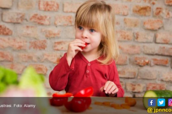 Catat Ya Moms, Cara Mudah Membujuk Si Kecil Makan Sayur - JPNN.COM